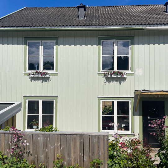 vinduer med enegiglass